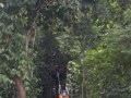 Tn DSC 4282